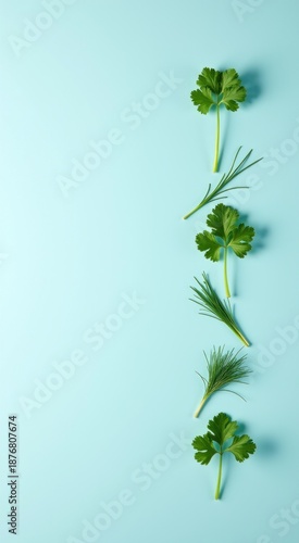 Some green leaves on a blue surface