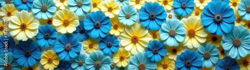 Many blue and yellow flowers in a field