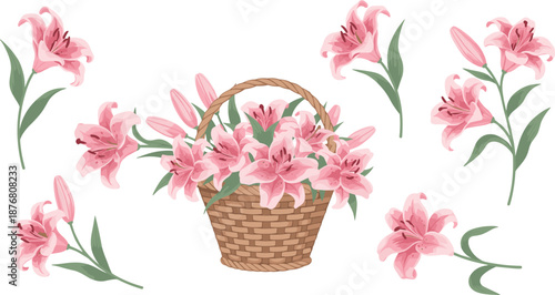 Beautiful Pink Lily Flower Arrangement Illustration Set Featuring Wicker Basket and Separate Floral Elements