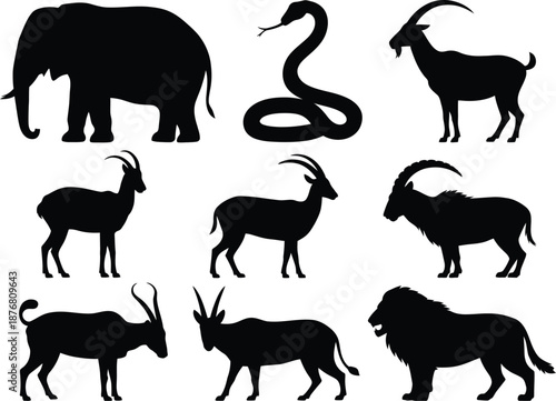 Wildlife silhouettes collection on white background