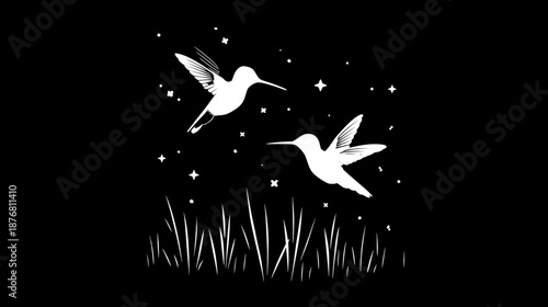 Two elegant white hummingbirds in graceful flight under a starry night sky, with stylized grass on a dark background. Minimalist nature illustration.