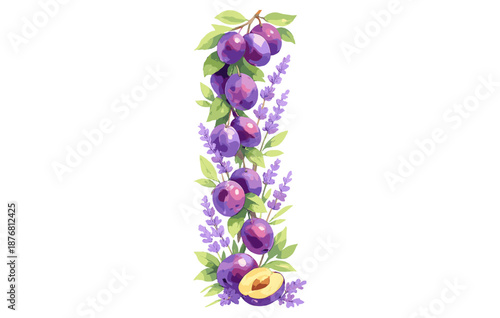 Vibrant purple plums with lavender and green leaves on white background