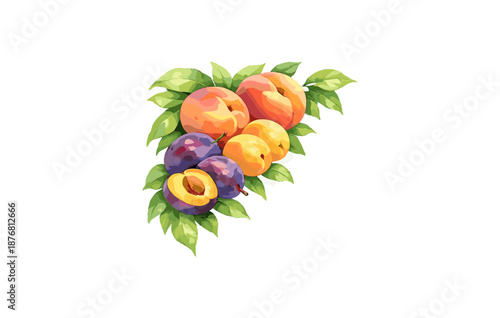 Colorful watercolor illustration of peaches and plums with green leaves