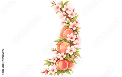 Peach blossoms and fruit arrangement on white background