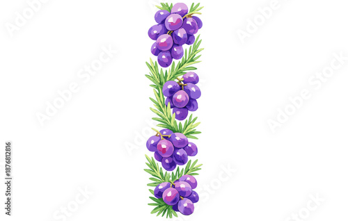 Vertical arrangement of purple juniper berries and green foliage