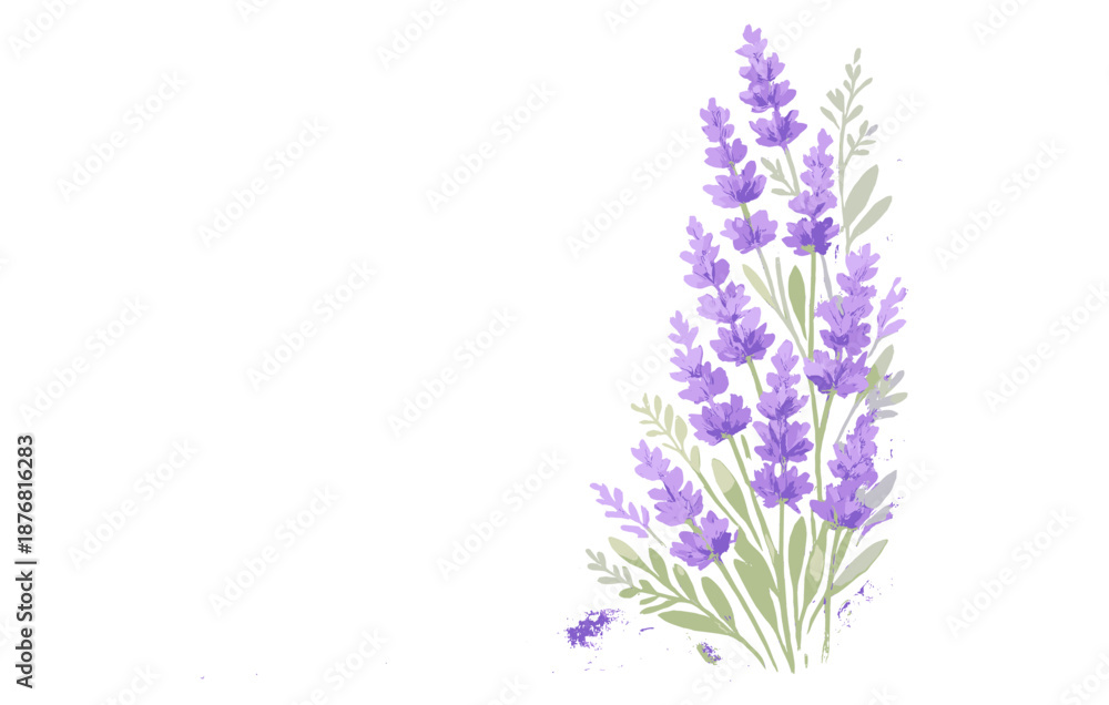Obraz premium Elegant lavender flowers with green leaves on white background