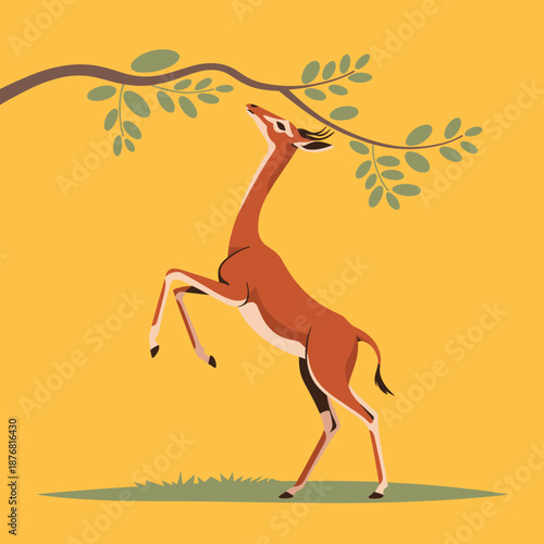Long-necked gerenuk antelope standing on its hind legs to reach green leaves on a high tree branch against a warm yellow sky.