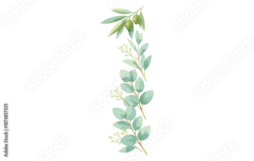 Elegant olive branch and leaves on white background