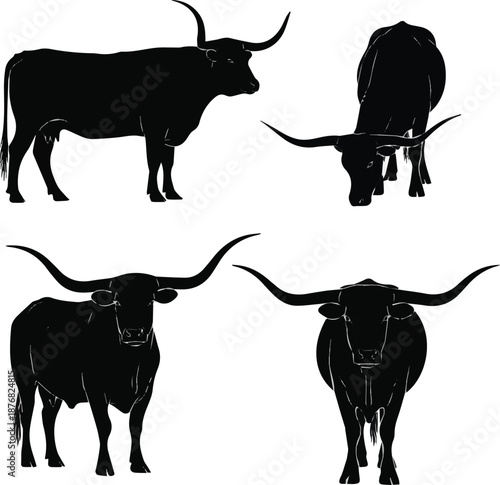 Set of Texas Longhorn cattle silhouettes in various poses, featuring impressive long horns, black vector set for ranch, farm, and western concepts