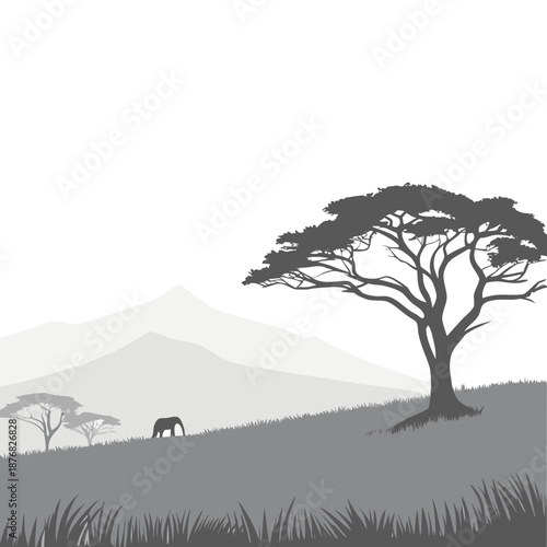 Elephant grazing under acacia tree