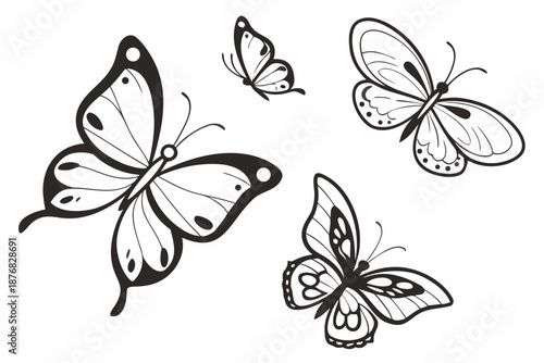 Placeholder image display