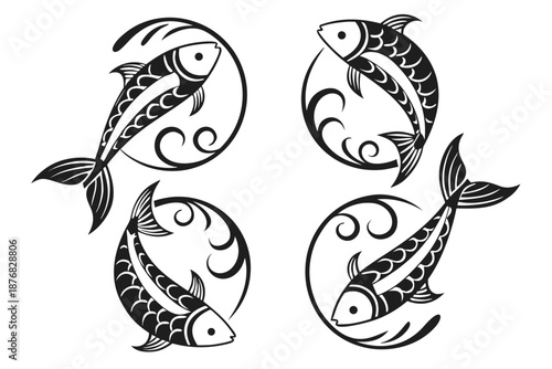 Placeholder image display