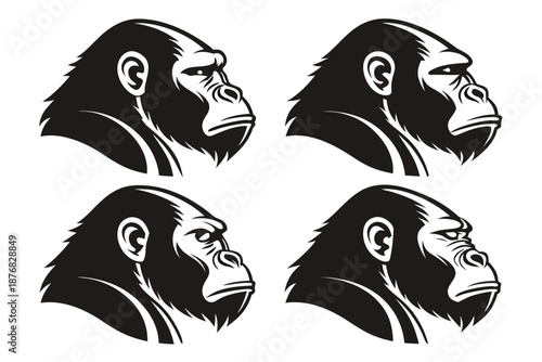 Empty vector file display