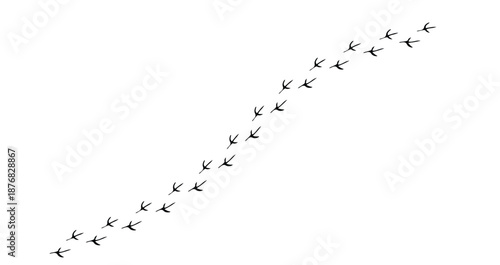 Curved Bird Footprints Trail Minimal Vector Illustration