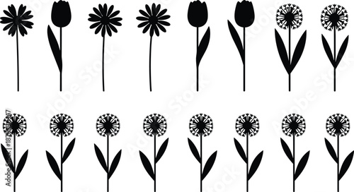 Silhouettes of various flower shapes arranged in rows for botanical classification, pattern recognition, and vector design illustration content