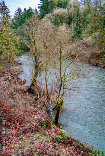 Renton Winter River 5