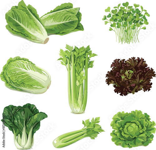 PrintCollection of fresh raw meat cuts including beef steaks, chicken poultry, pork chops, lamb, minced meat, and ribs isolated on white