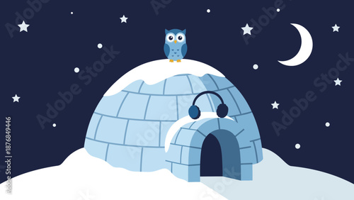 Arctic Adventure Owl Cartoon Character In Snowy Igloo At Night Winter Background