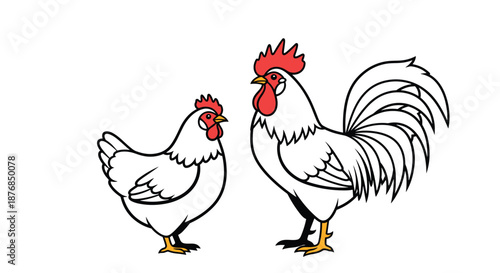 Side view of a white hen and a large rooster with a bright red comb on a clean white background, farm animals.