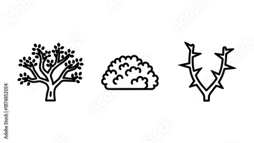Botanical line icons of trees, bushes, and thorny branches for landscape and gardening design