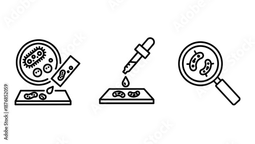 Microbiology research icons featuring petri dishes, pipette samples, and bacteria under a magnifying glass