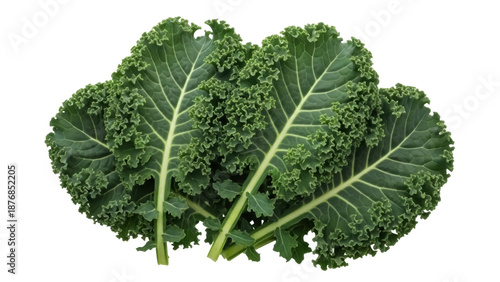 Canvastavla Fresh green kale leaves isolated PNG, nutritious leafy vegetable for healthy eat