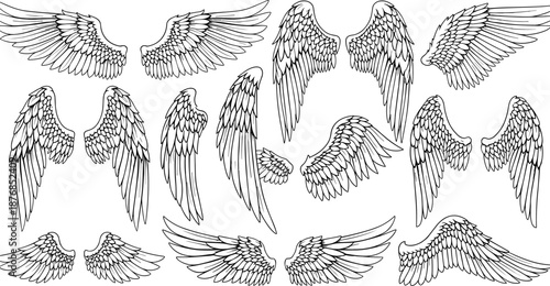  Large, collection, of, detailed, hand, drawn, angel, wings, sketches, isolated, on, white, background, for, tattoo, design, religious, art, and, illustrations.