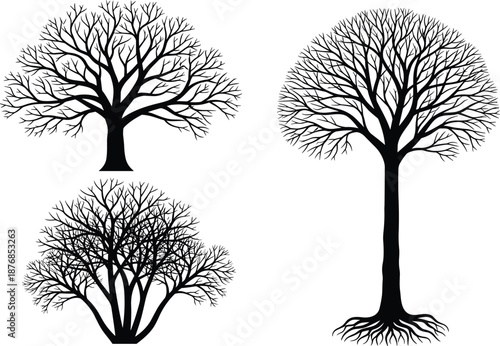  Set of black tree silhouettes with bare branches and roots isolated on white background for seasonal winter or autumn nature designs