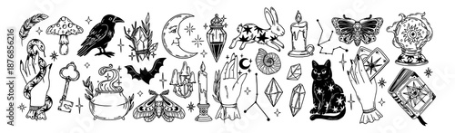 Magic elements. Mystical Halloween sticker. Hand drawn boho esoteric crystals, witch hands, magician book, cat, magical star, female mystical symbols. Vector set