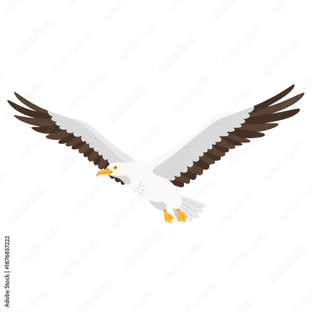 Fototapeta premium Albatross Illustration