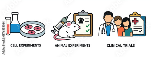 An illustration that visualises the main stages of drug development (drug development pipeline), including preclinical and clinical trials. It shows the three key phases in a simple, icon-based style.