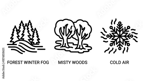 Nature icons: dense forest in winter with fog, misty trees in a grove, and snowflake representing cold air