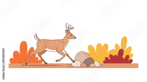 Buck Strolling Through The Autumn Meadow With Colorful Plants And Stones