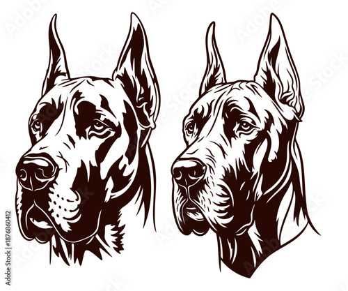 Two great dane dog heads, silhouette style vector drawing illustration on transparent background