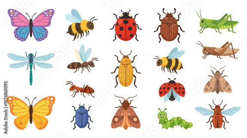 Collection of Various Insects and Bugs.