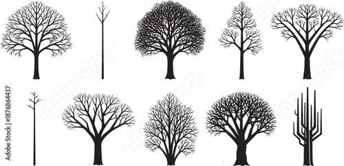 A collection of black winter tree silhouettes and bare branch vectors featuring dead oak plants in a cold snow forest landscape design