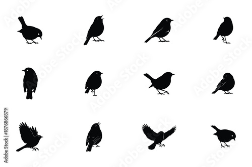 Robin bird silhouettes set with flying standing and perched variations vector illustration.