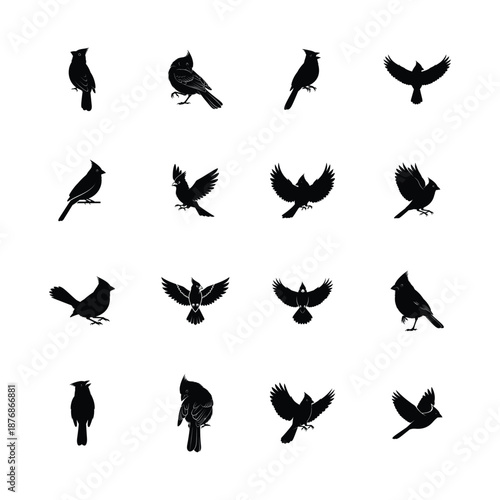 Cardinal bird silhouettes set showing various flying and perched poses vector illustration.
