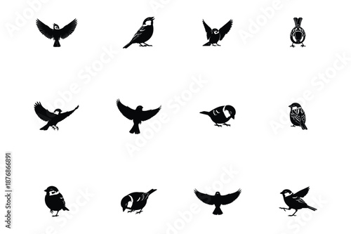 Sparrow silhouettes set featuring small birds in dynamic and resting poses vector illustration.