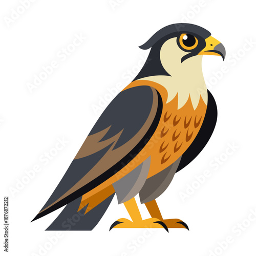 Cute cartoon eagle bird of prey flying with wide wings and sharp beak in a simple vector wildlife illustration