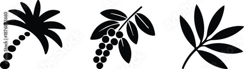 Date Palm and Dates Silhouette Vector Set. Minimal Ramadan Islamic Food Icons