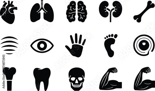 Collection of black and white human body part icons on transparent background high-quality professional detailed modern elegant stylish