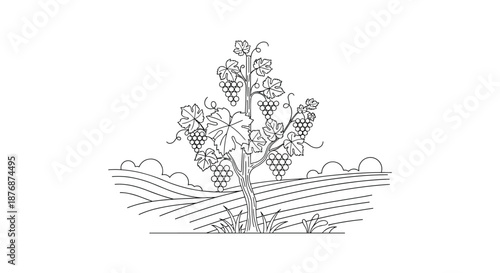 Elegant black and white line art illustration of a grapevine with bunches of grapes growing in a peaceful vineyard.