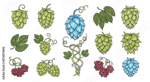 Variety of hop cones and leaves in green blue and purple colors for brewing beer and herbal medicine in a detailed hand drawn style.