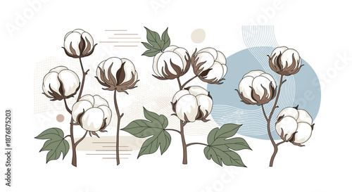 Elegant illustration of cotton plant branches with white fluffy bolls and green leaves on an abstract artistic background with blue shapes.