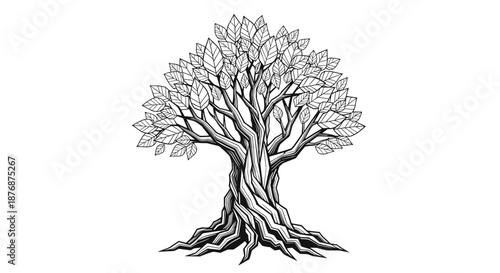 Intricate black and white line art of a sturdy tree with deep roots and a thick canopy of leaves symbolizing nature and growth.