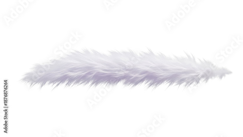Tableau sur toile Fluffy white fur strip PNG isolated on transparent background, soft faux fur ele