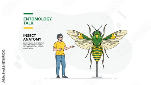 Engaging Entomology Presentation Featuring a Detailed Insect Anatomy Illustration