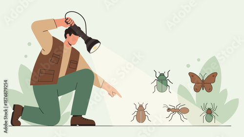 Expert Entomologist Examining Insects Under Light For Wildlife Conservation Studies