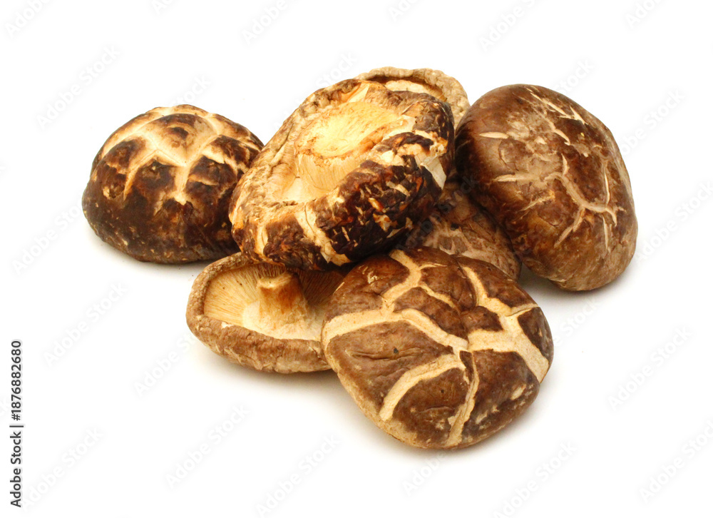 Fototapeta premium Mushrooms dry on white background
